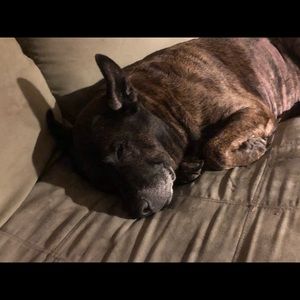 Meet your Posher, Angela